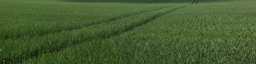 03-BleVert_Panorama1-WEB