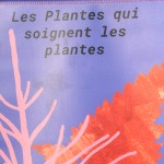 PlantesSoignentPlantes2