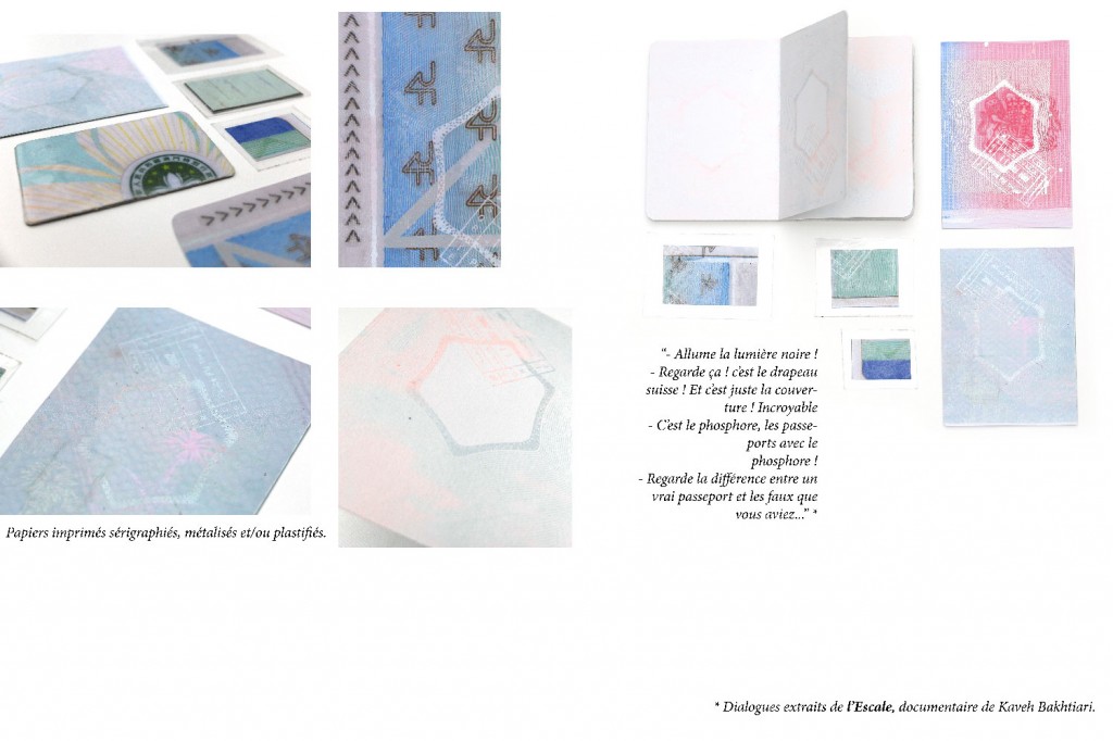 SITE-WEB-229