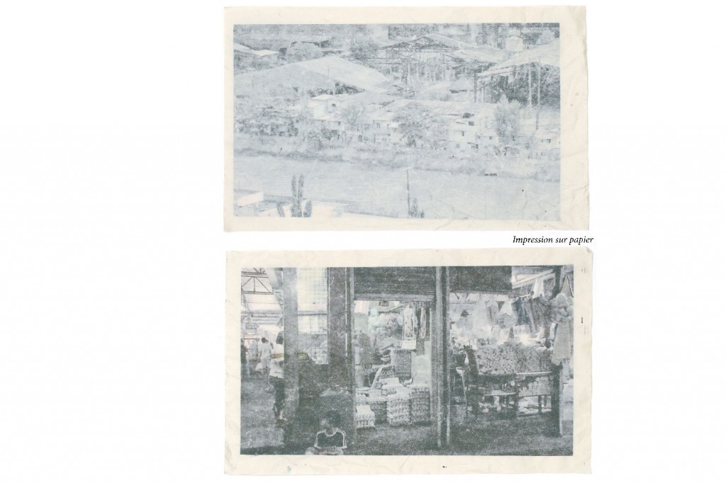 SITE-WEB-233