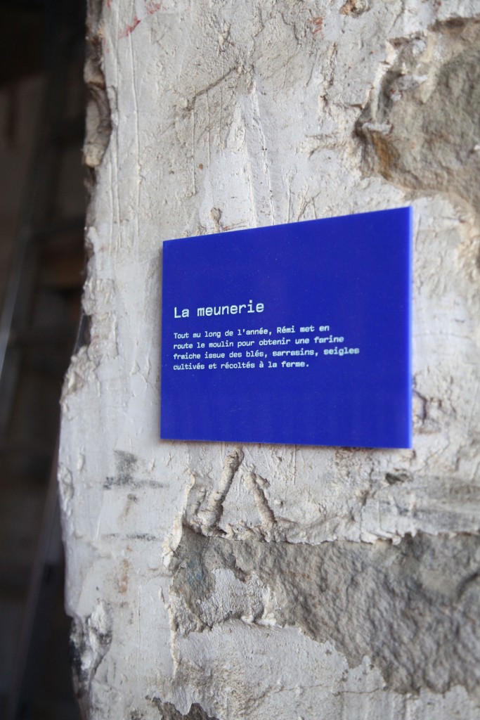 IMG_0942-WEB